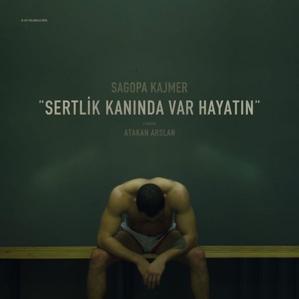 Sertlik Kanında Var Hayatın cover
