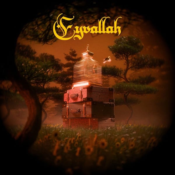 Eyvallah cover
