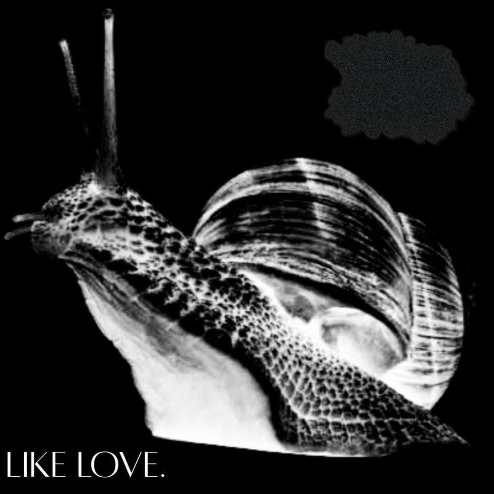 Like Love cover