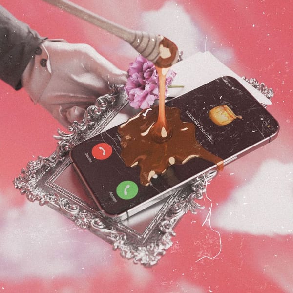 FaceTime cover