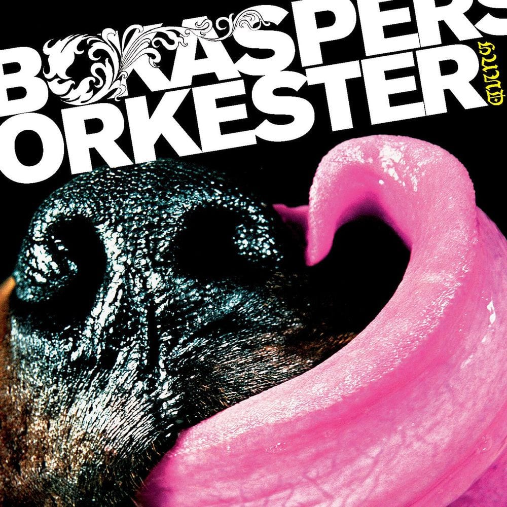 Hund cover
