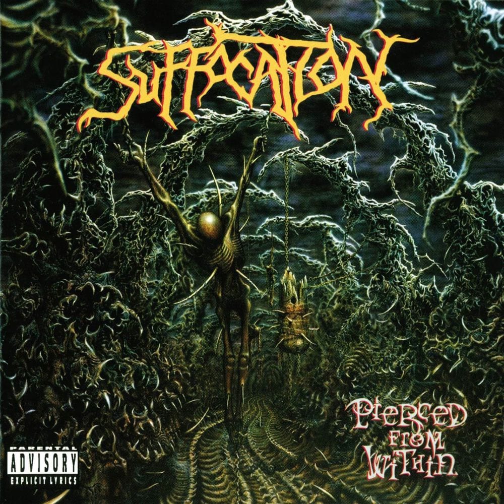 Pierced From Within cover
