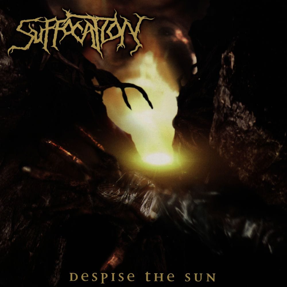 Despise the Sun cover