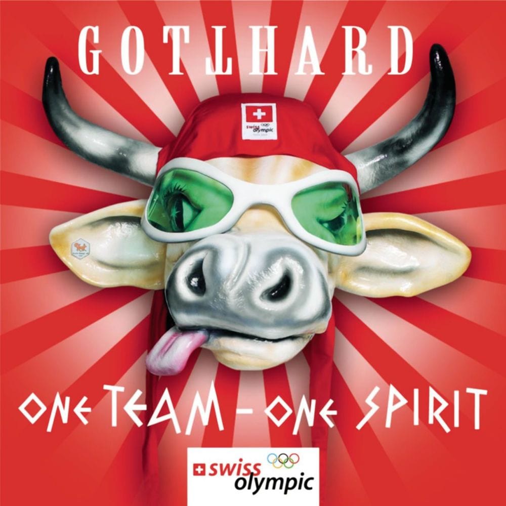 One Team One Spirit cover