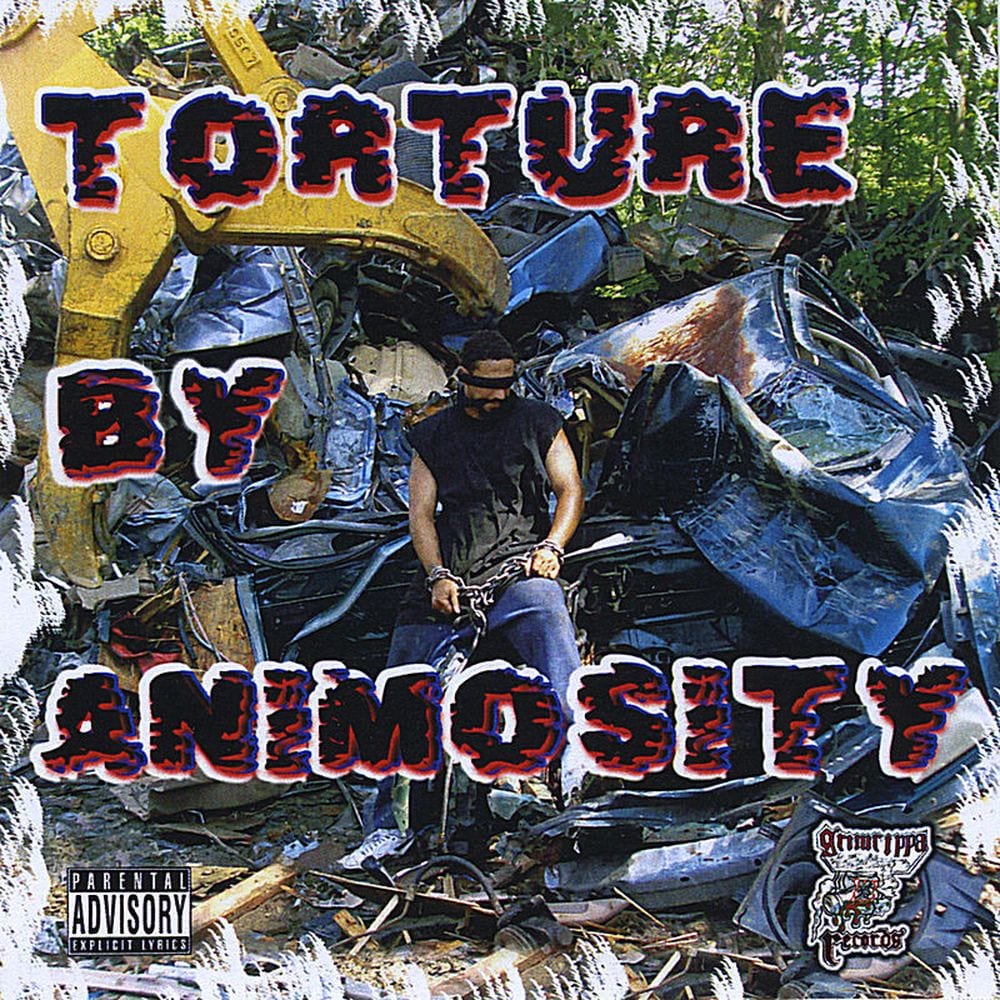 Torture By Animosity cover