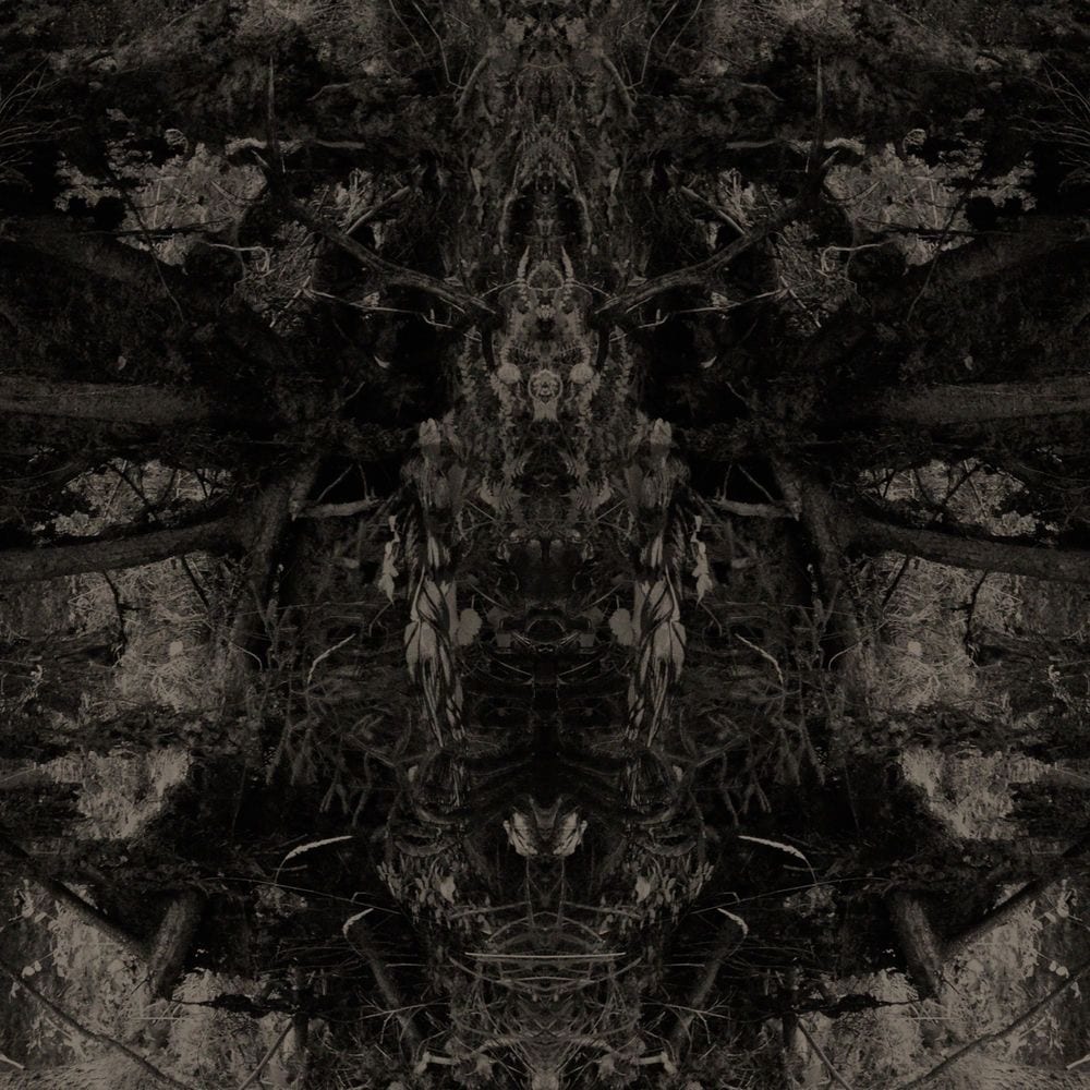 Den cover