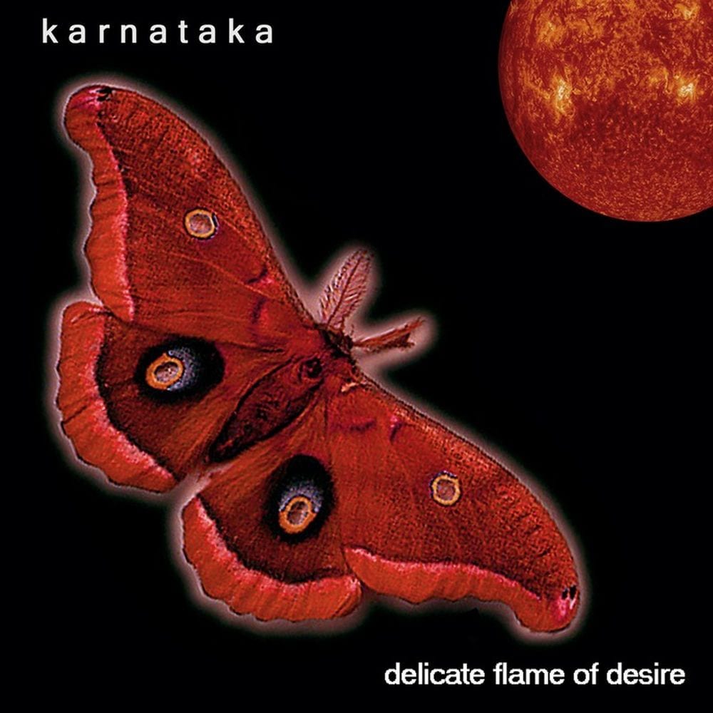 Delicate Flame of Desire cover