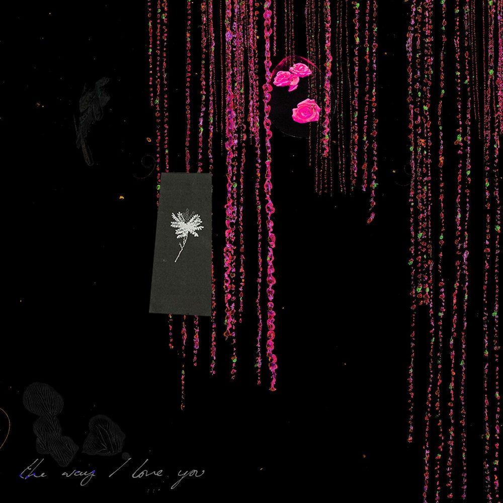 The Way I Love You (Remixes) cover