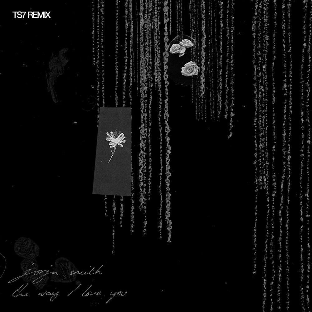 The Way I Love You (TS7 Remix) cover