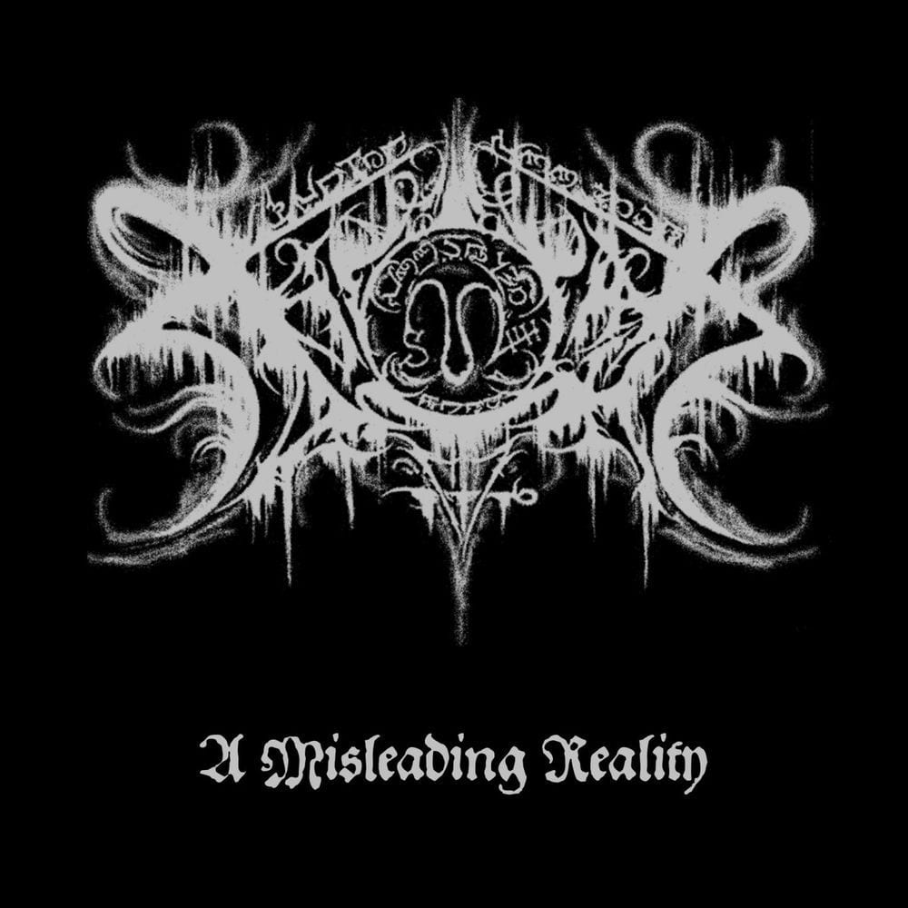 A Misleading Reality cover
