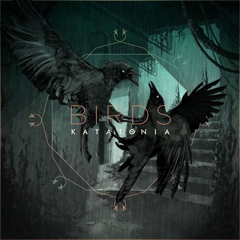 Birds cover