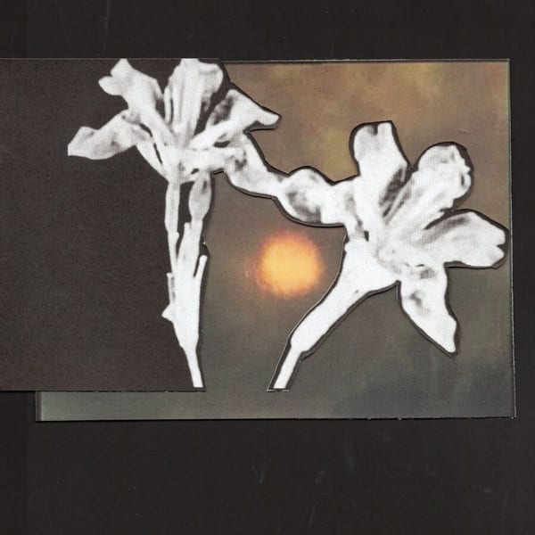 Loving You / Don't Let Me Go album cover