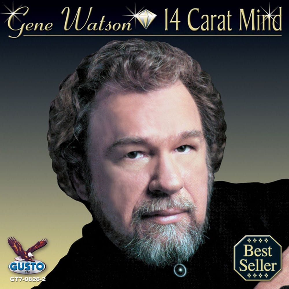 Fourteen Carat Mind cover