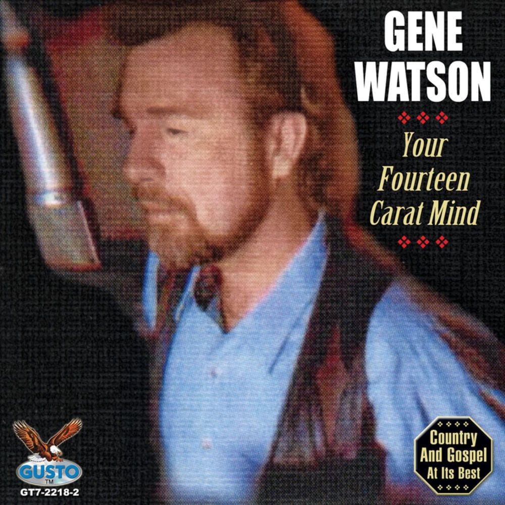 Your Fourteen Carat Mind cover
