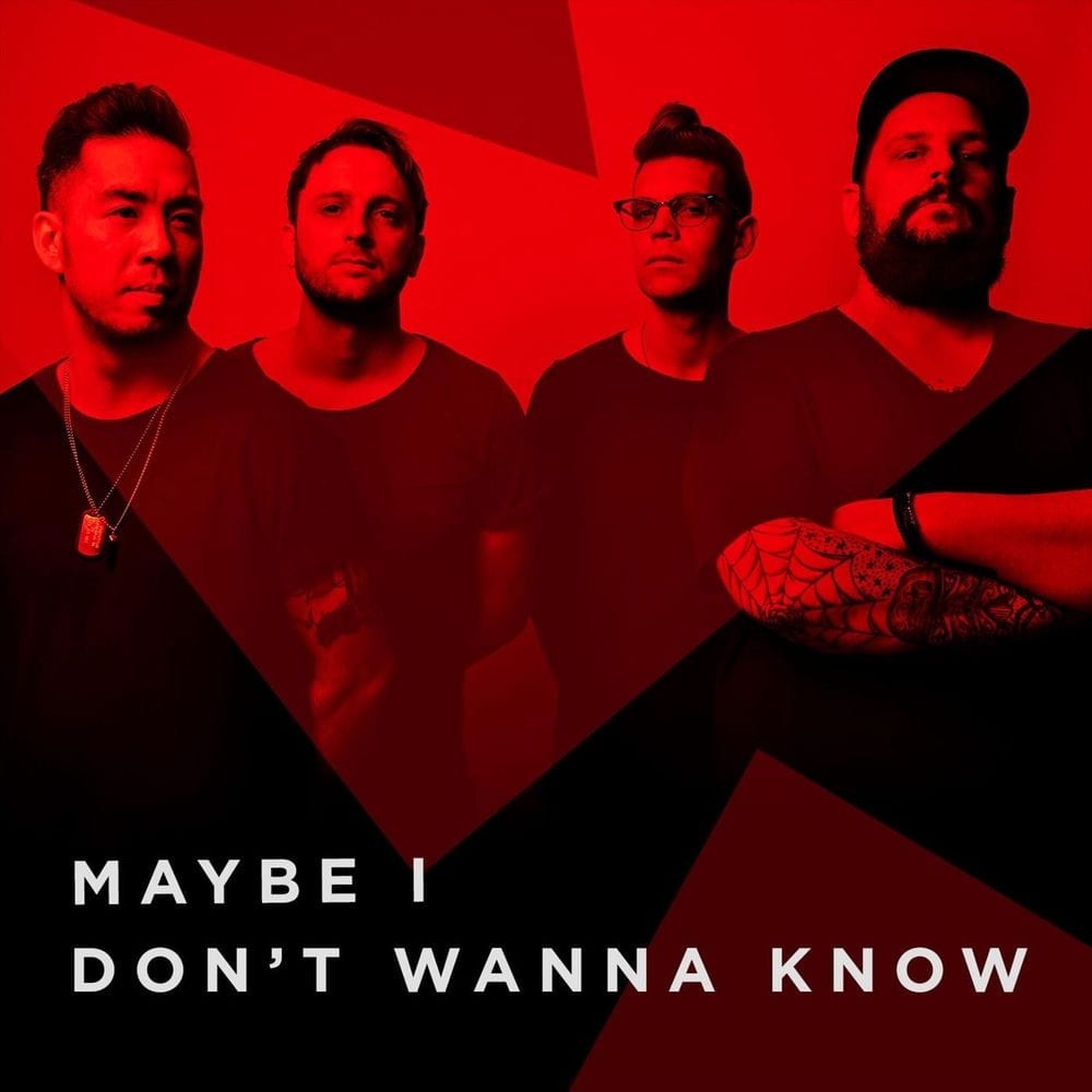 Maybe I Don't Wanna Know cover