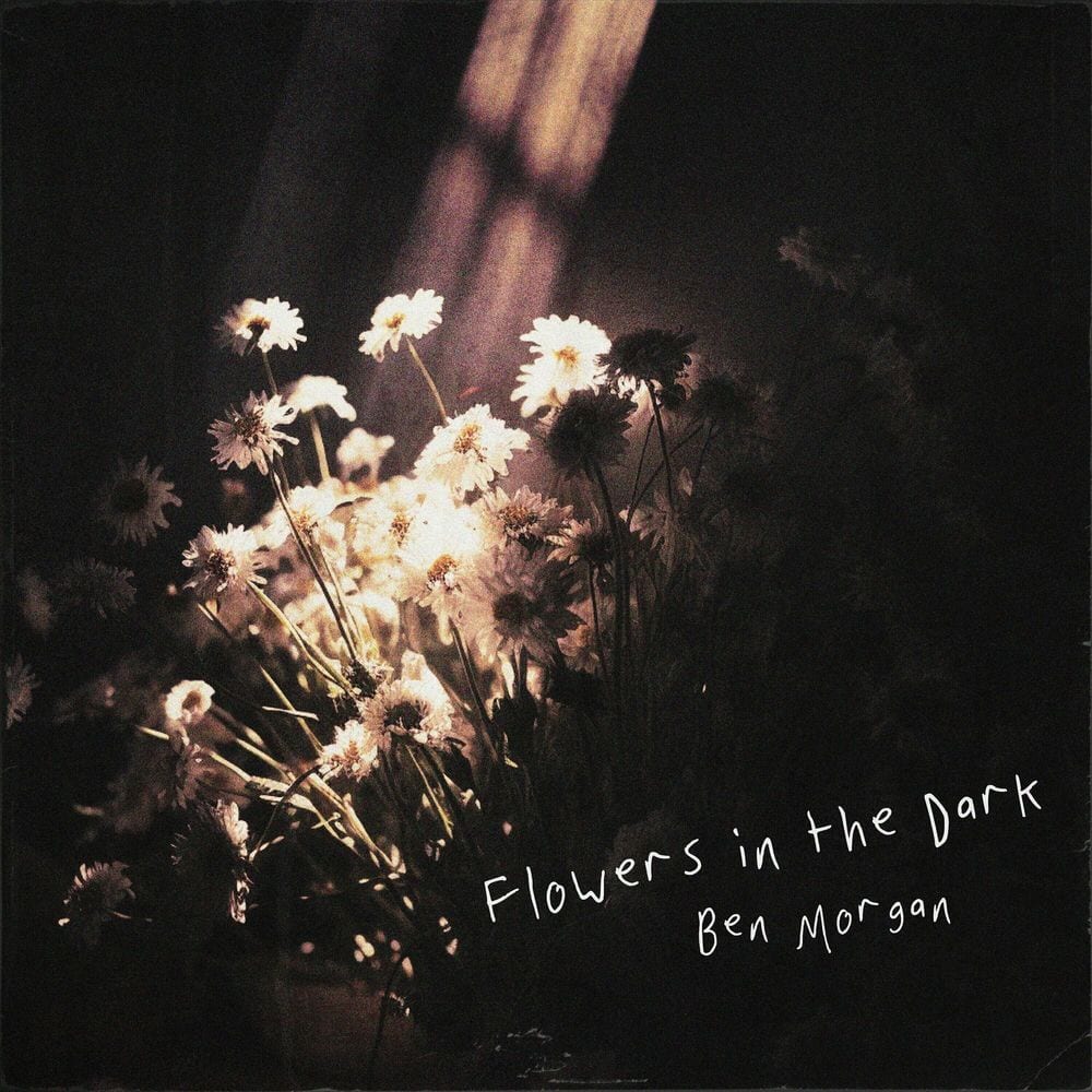 Flowers in the Dark cover