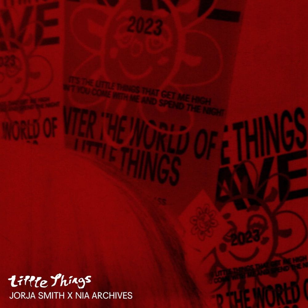 Little Things (Nia Archives Remix) cover
