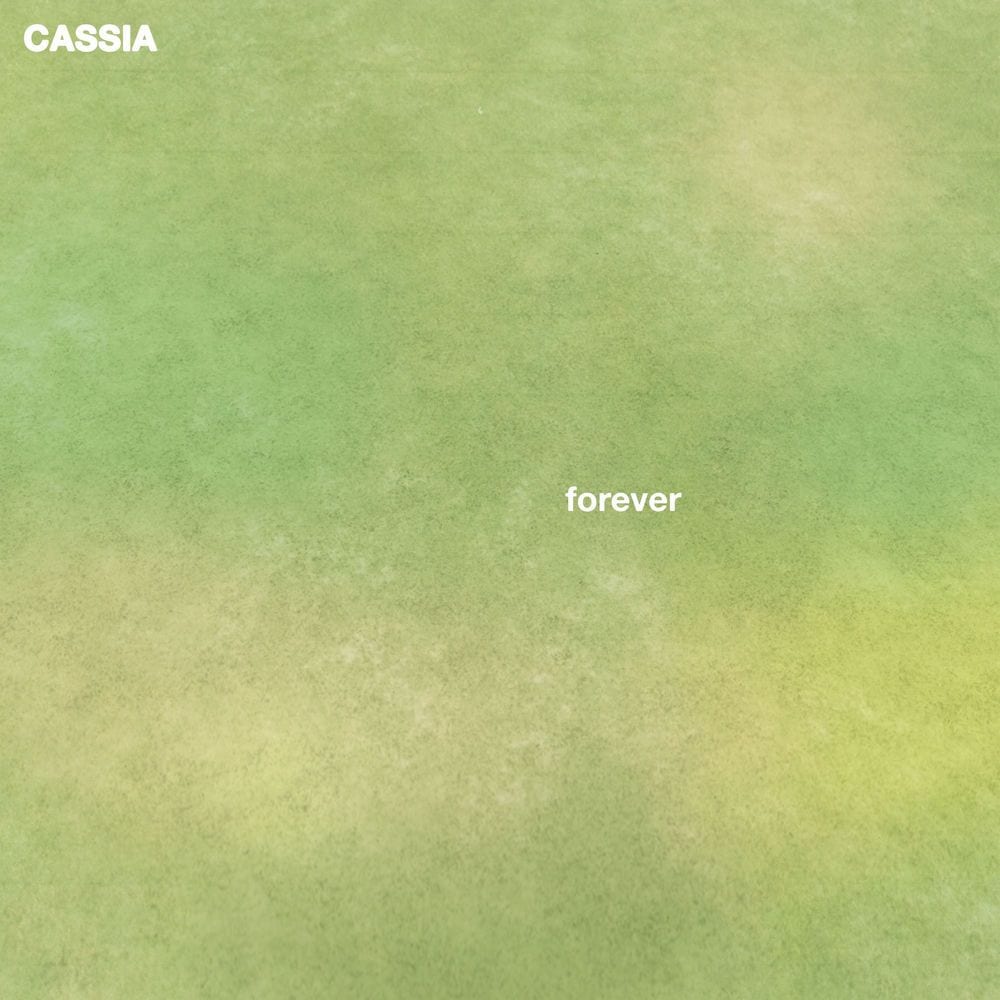 forever cover
