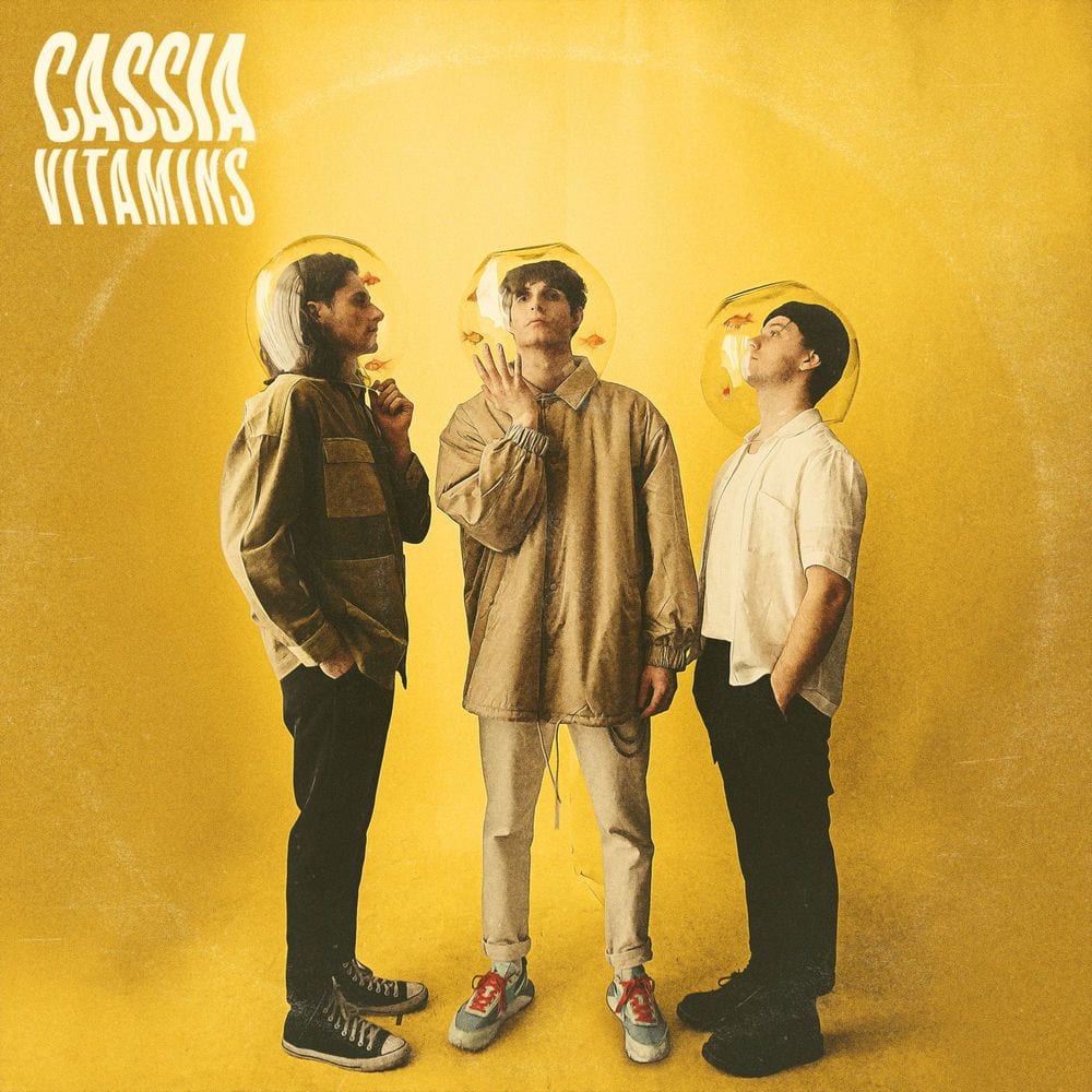 Vitamins cover