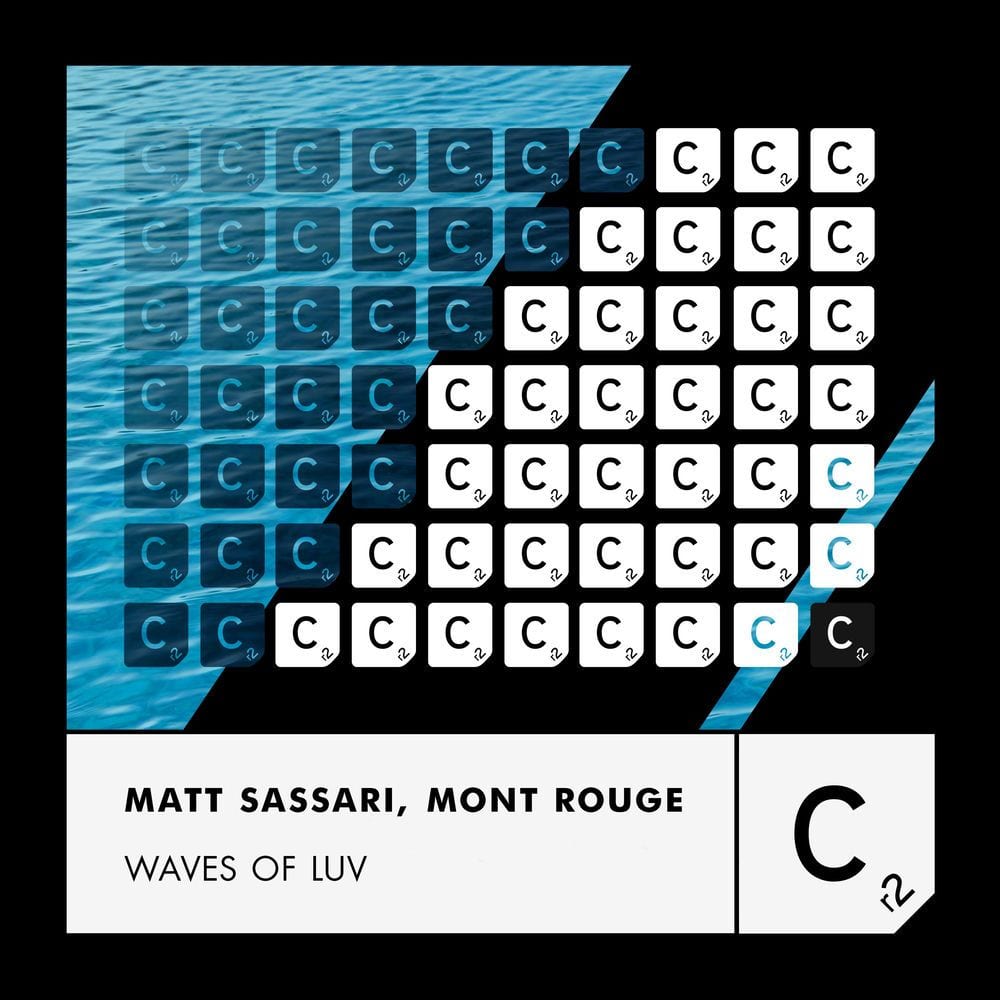 Waves of Luv cover