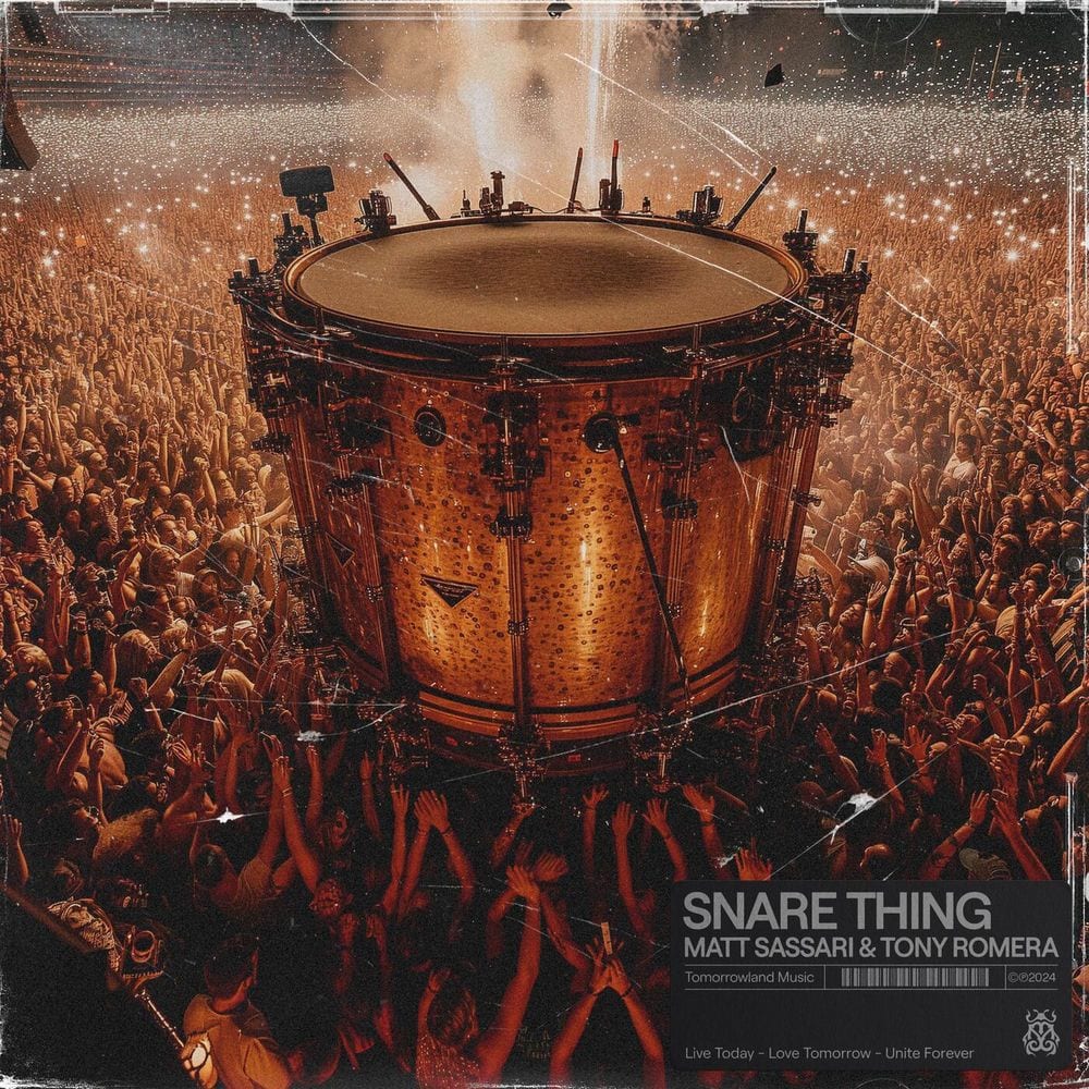 Snare Thing cover