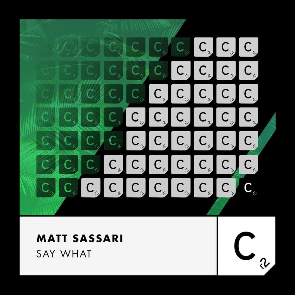 Say What cover