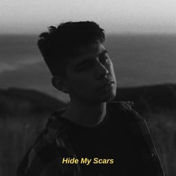 Hide My Scars album cover