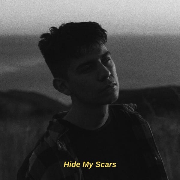 Hide My Scars album cover