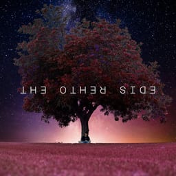 The Other Side album cover