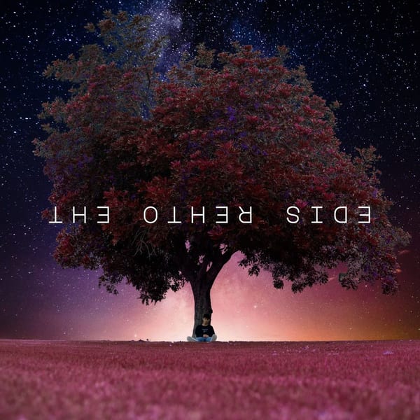 The Other Side album cover