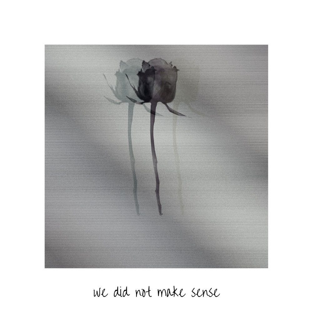 We Did Not Make Sense cover
