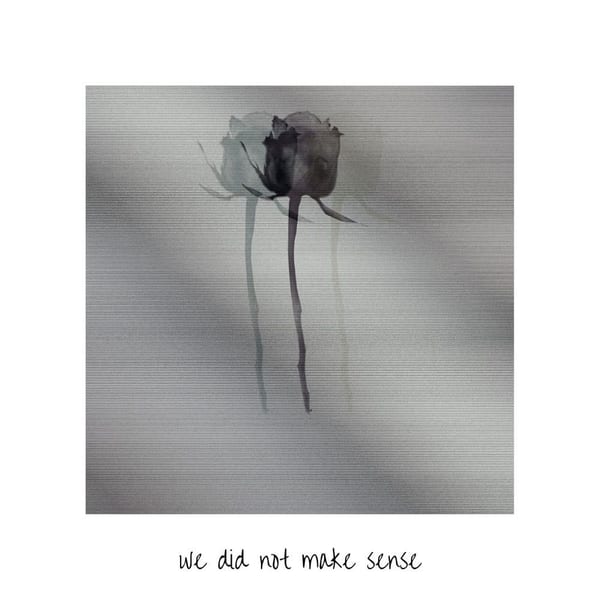 We Did Not Make Sense album cover