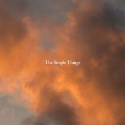 The Simple Things album cover