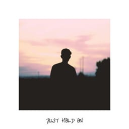 Just Hold On album cover
