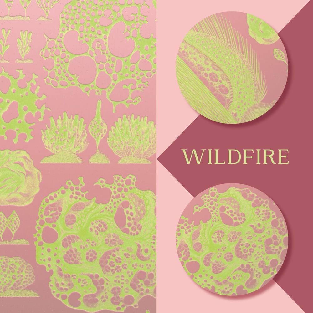 Wildfire cover