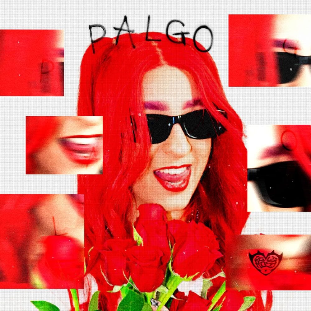 Palgo cover