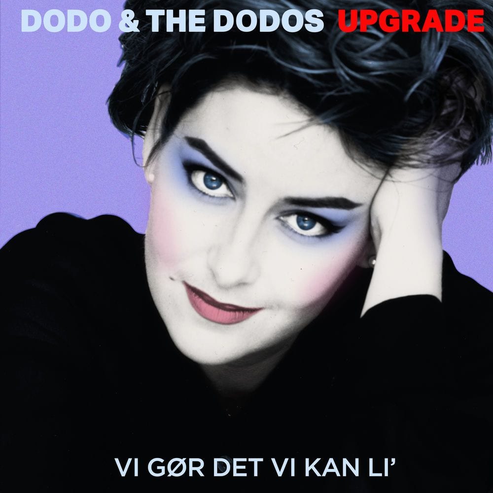 Vi Gør Det Vi Kan Li cover