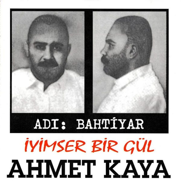 Adı Bahtiyar - İyimser Bir Gül cover