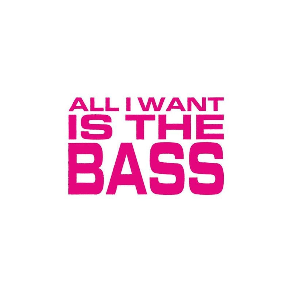 All I Want Is The Bass cover