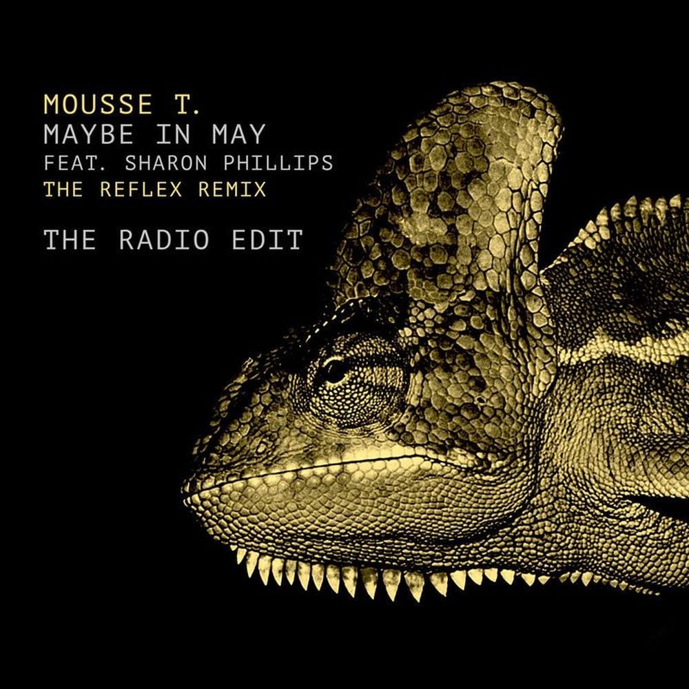 Maybe in May (The Reflex Radio Edit) cover