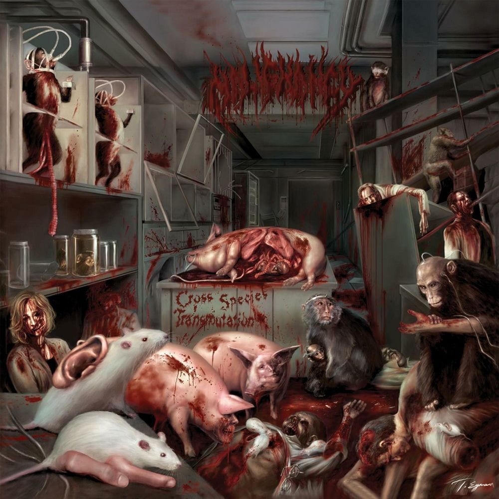 Cross Species Transmutation cover