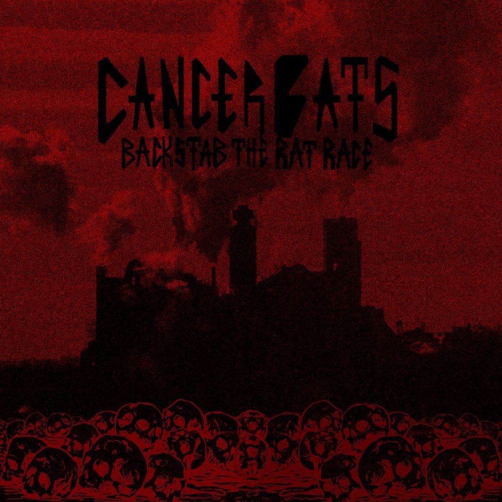 Backstab the Rat Race cover
