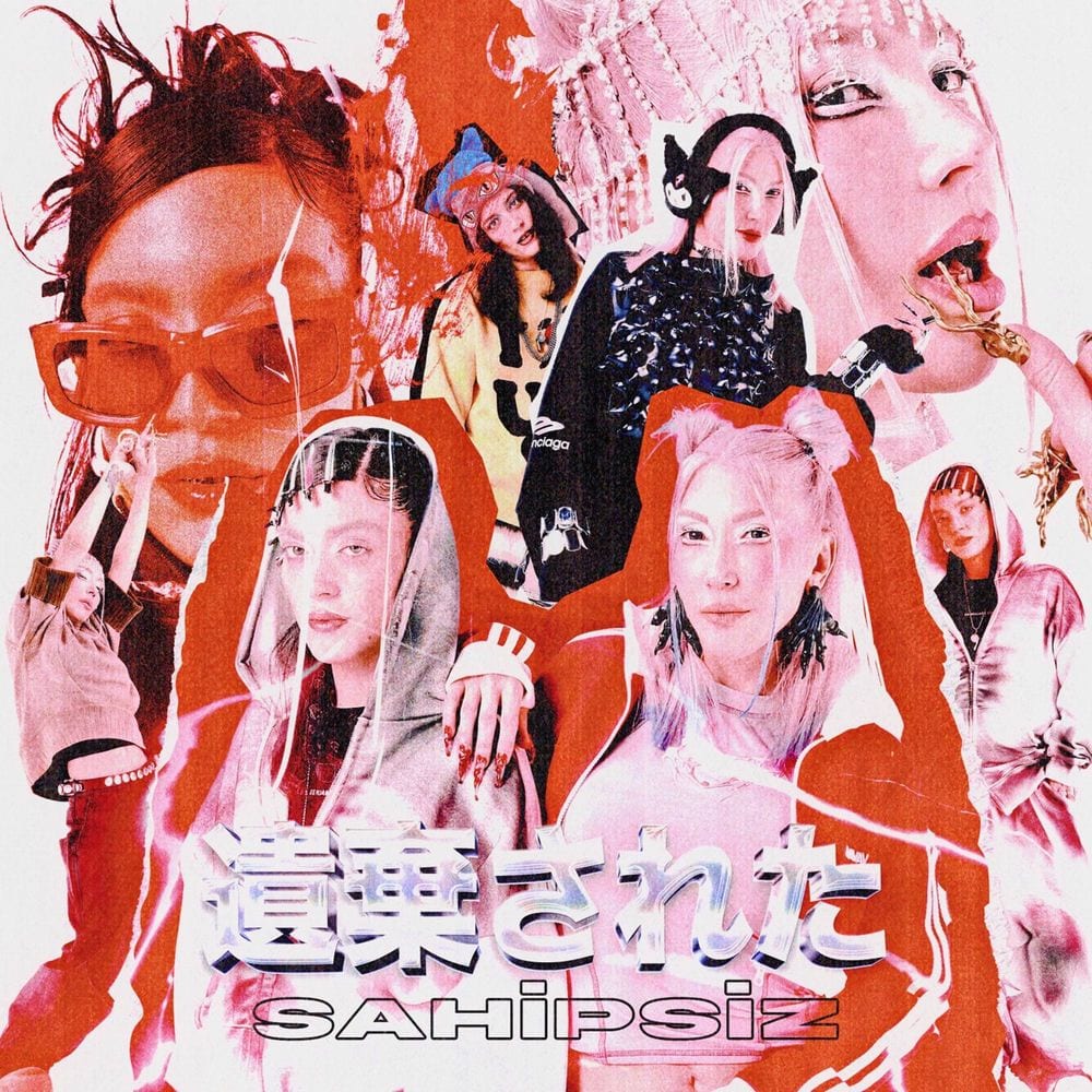 Sahipsiz cover