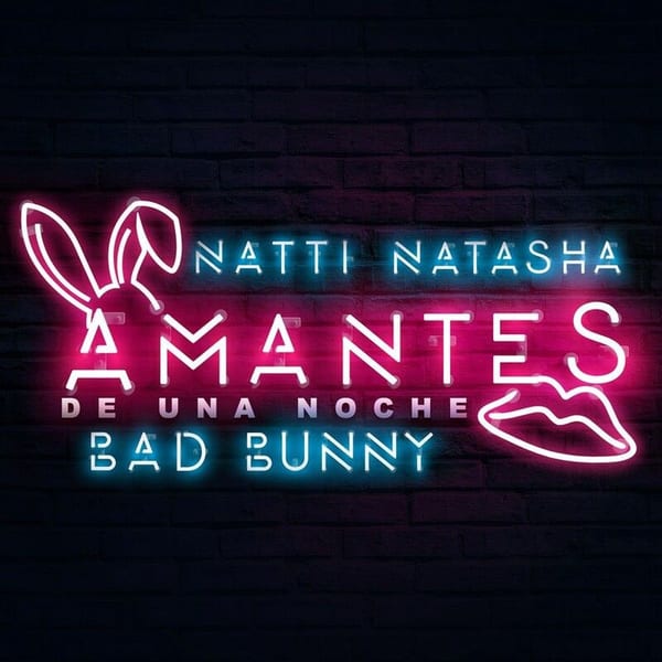 Amantes de una noche cover