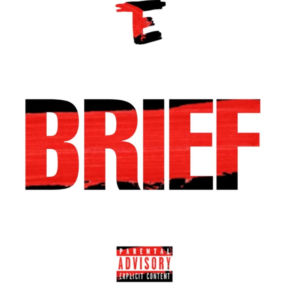 Brief cover