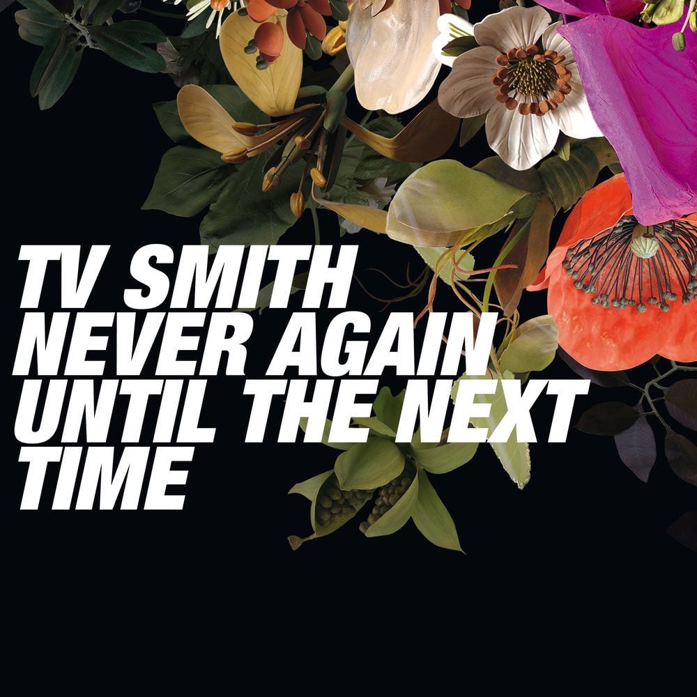 Never Again Until the Next Time cover