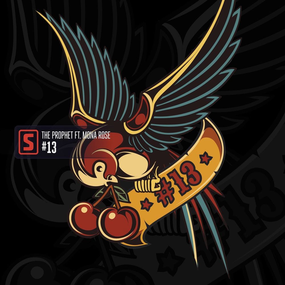 #13 cover