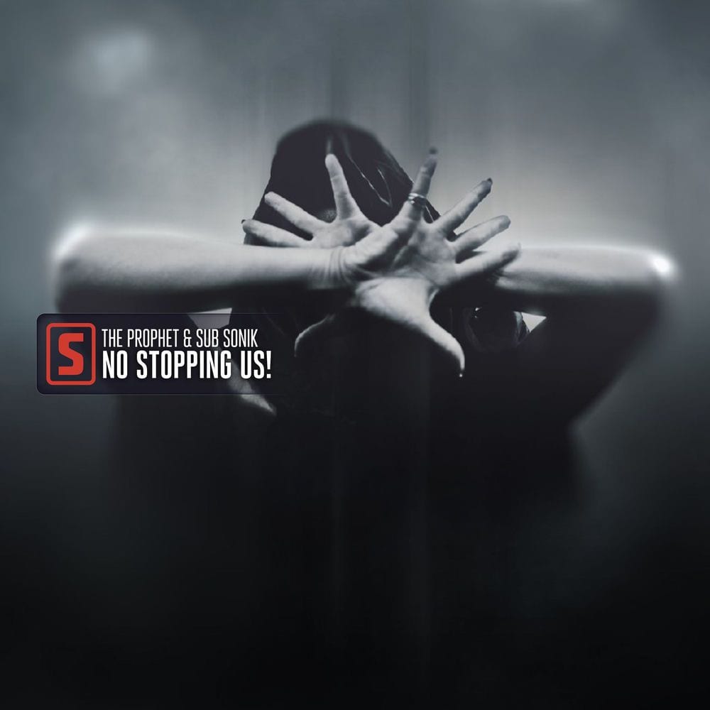 No Stopping Us! cover