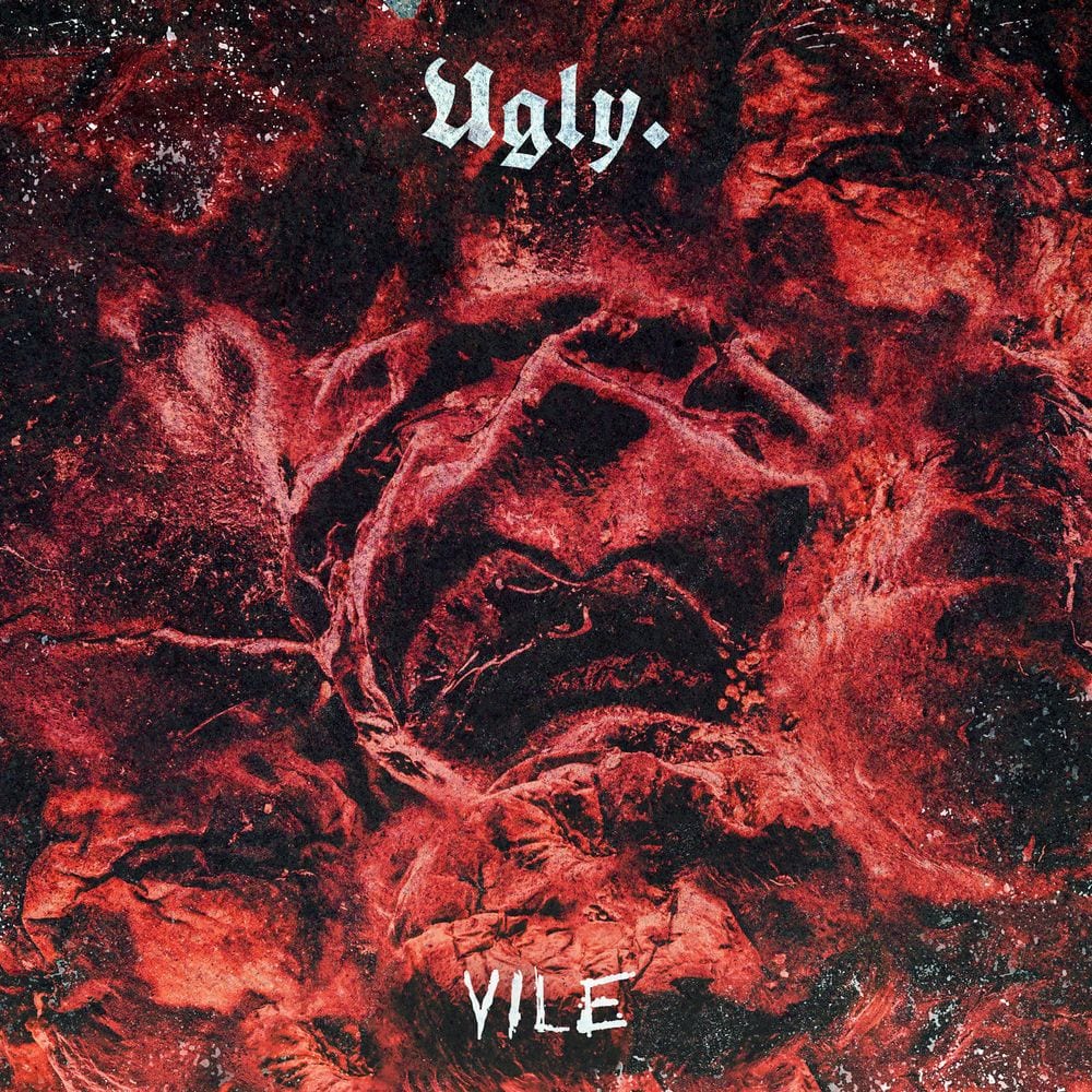 Vile cover