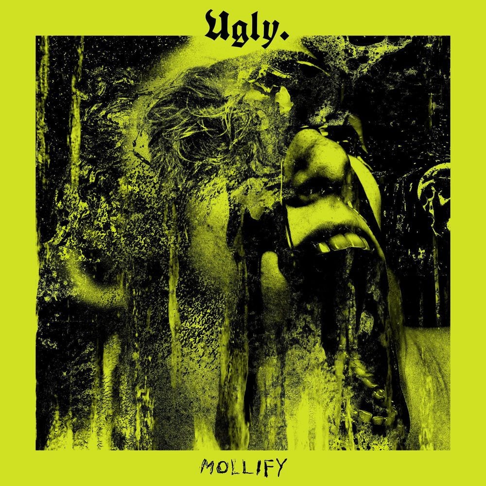 Mollify cover